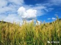 康春鵬：我國農村電子商務發(fā)展形勢與走勢
