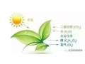 作物長不好，90%都是缺碳造成的，不信你看！