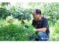 恭賀協(xié)會(huì)常務(wù)理事單位榮膺“全國有機(jī)食品生產(chǎn)示范基地”稱號(hào)
