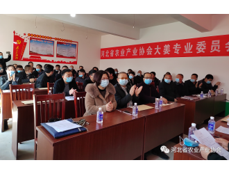河北省農(nóng)業(yè)產(chǎn)業(yè)協(xié)會(huì)大姜專業(yè)委員會(huì)揭牌儀式暨大姜產(chǎn)業(yè)交流會(huì)順利召開(kāi)
