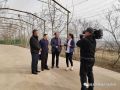 孫悅明會長等領導赴行唐常務理事單位調(diào)研